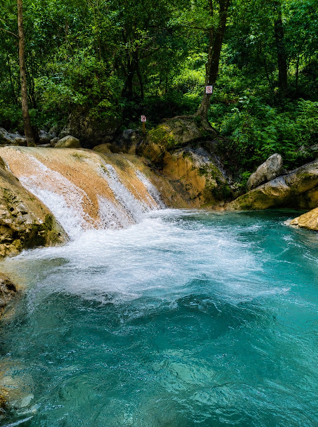 Senderismo La Estanzuela | Cascadas y Río al Sur de Monterrey desde $1,150 MXN